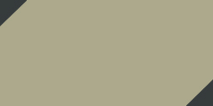 Khaki/Black