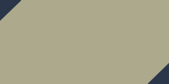 Khaki/Navy