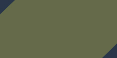 Olive/Navy