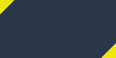 Navy w/ Yellow