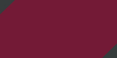 Burgundy/Black