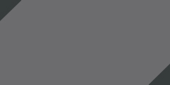 Pewter/Black